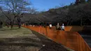 Orang-orang melewati jalan setapak di antara pagar yang ditempatkan untuk mencegah pesta melihat bunga sakura (Hanami) untuk pencegahan COVID-19 di Tokyo (13/3/2021).  Pemerintah Jepang tengah memperpanjang keadaan darurat di wilayah Tokyo hingga 21 Maret. (AP Photo/Kiichiro Sato)