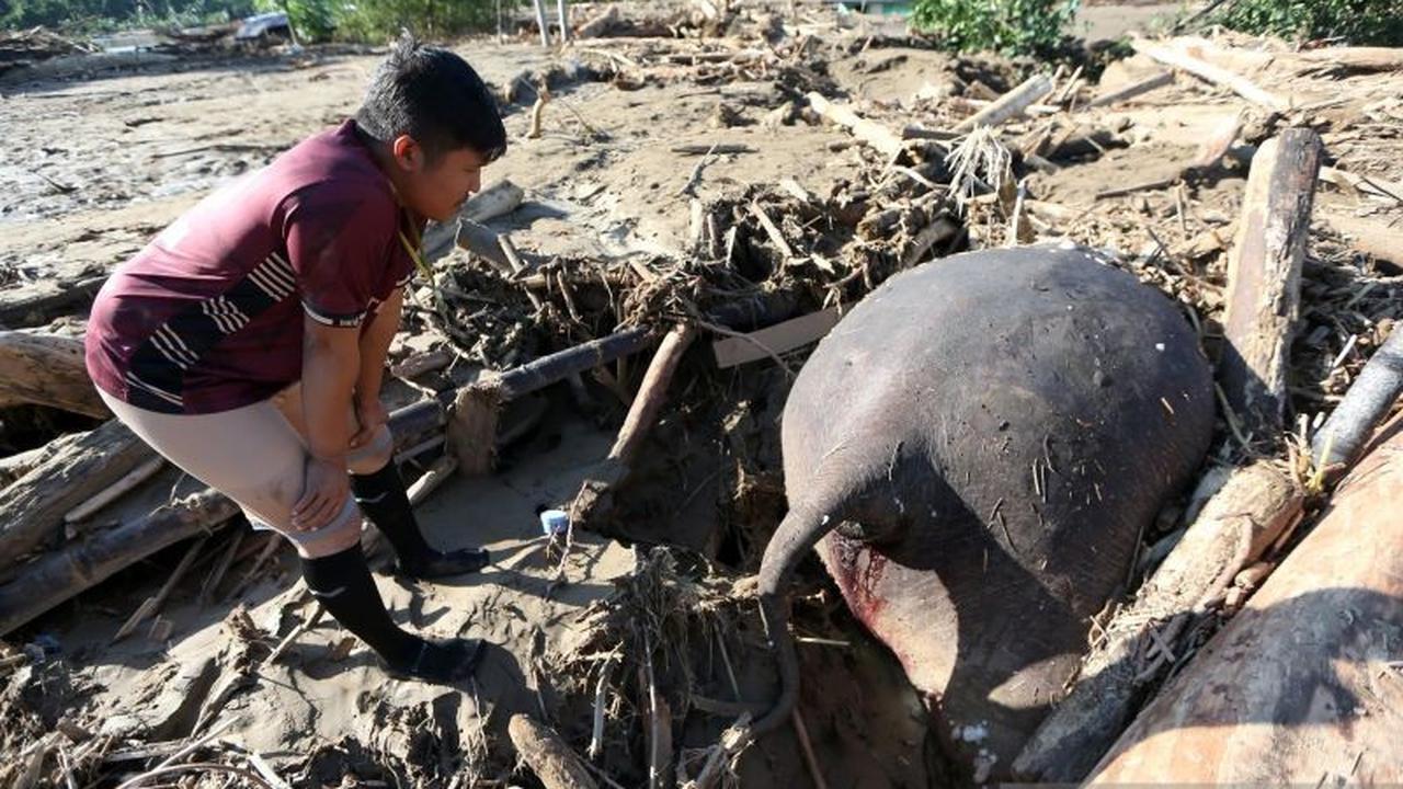 Kemenag Data Madrasah dan Rumah Ibadah Terdampak Banjir Sumatera, Siap Salurkan Bantuan