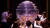 Sejumlah pengunjung saat melihat ikan emas di dalam akuarium saat Pameran Seni Akuarium di Tokyo, Jepang (10/7/2015). Pameran Seni Aquarium di Tokyo ini juga menjadi ajang fotografi bagi para pengunjung yang antusias. (REUTERS/Thomas Peter)