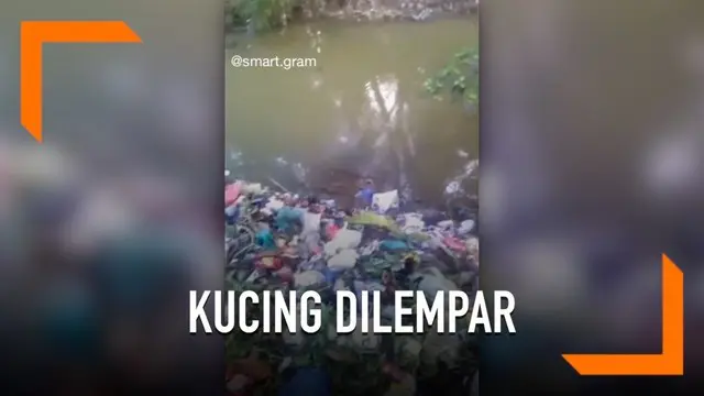 Video penyiksaan terhadap anak kucing beredar di media sosial. Dalam video, seorang pria dengan teganya melempar anak kucing ke sungai yang penuh sampah.
