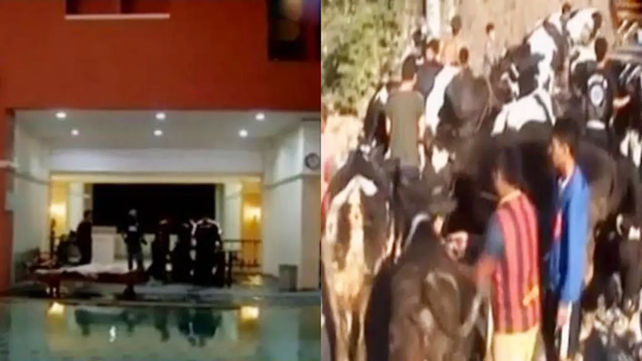 Wanita Tua Jatuh dari Lantai 18 Apartemen hingga Lebaran Sapi