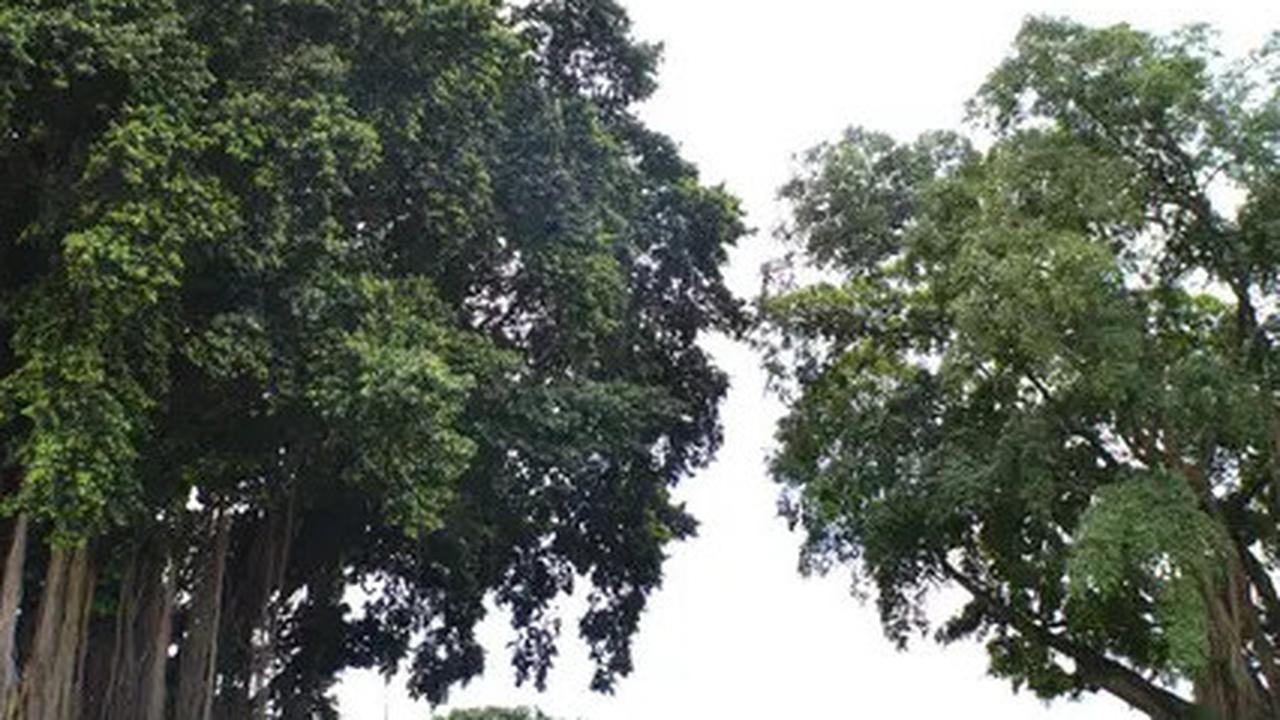 5 Rekomendasi Aktivitas di Yogyakarta, Hadirkan Pengalaman Liburan Berkesan