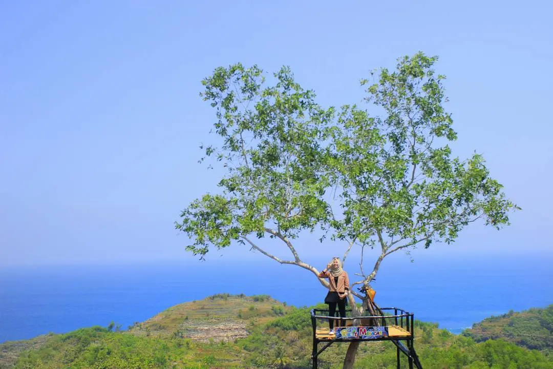 Bukit Maracah, Gunungkidul, Yogyakarta. (Sumber Foto: tereskm/Instagram)