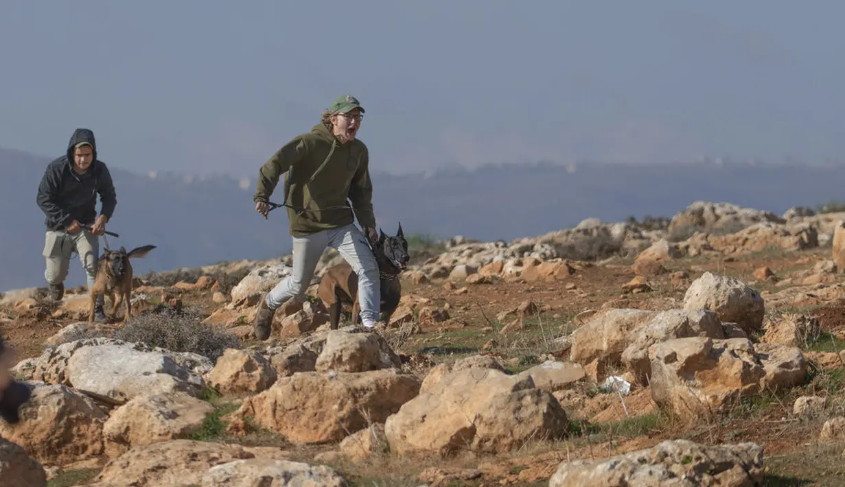 Pemukim Yahudi menggunakan anjing saat bentrok dengan pengunjuk rasa Palestina di Desa Mughayer, Ramallah, Tepi Barat, Jumat (18/12/2020). Pengunjuk rasa Palestina yang menggunakan ketapel terlibat bentrok dengan pemukim Yahudi yang menggunakan anjing. (AP Photo/Nasser Nasser)