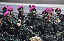 Mantan Marinir Gabung Militer Rusia, Dipecat Karena dari TNI AL Karena Hal Ini