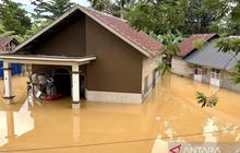 11 Wilayah di Kendari Terdampak Banjir, BPBD Catat Curah Hujan Tinggi Jadi Pemicu