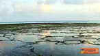 Citizen6, yogyakarta: Pentai Sundak terletak di di wilayah Desa Sidoharjo, Kecamatan Tepus, Kabupaten Gunungkidul, Yogyakarta. Pantai Sundak merupakan pantai alami berpasir putih yang jarang dikunjungi wisatawan. (Pengirim: Key)