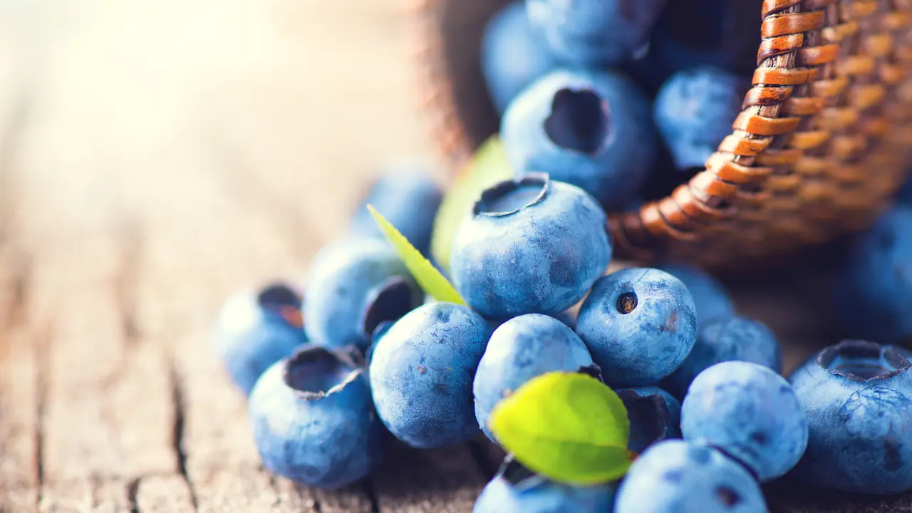 Blueberry