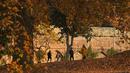 Sebuah keluarga Kashmir berjalan melewati pepohonan yang merontokkan daun musim gugur mereka di taman Nishat Bagh di Srinagar (16/11/2020). (AFP/Tauseef Mustafa)
