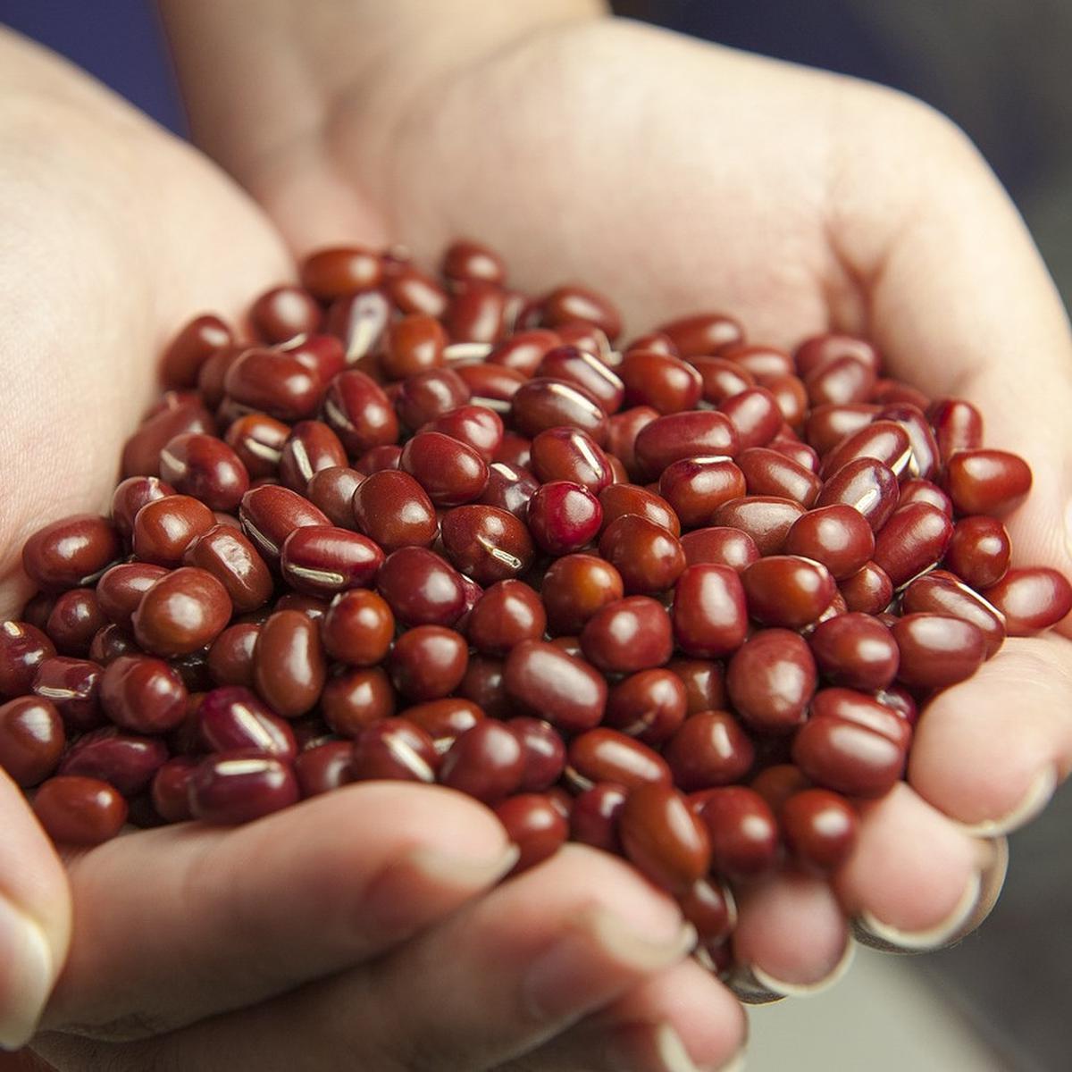 8 Manfaat Kacang Merah untuk Bayi, Menyehatkan Saluran Pencernaan.
