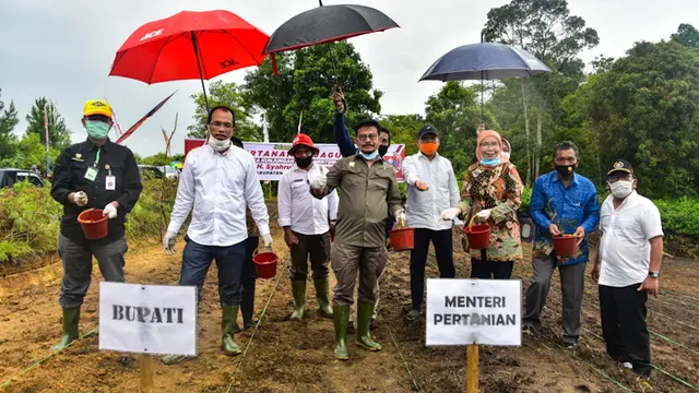 Mentan Syahrul