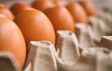 5 Makanan Penyebab Bisul yang perlu Diwaspadai, Telur hingga Makanan Berlemak