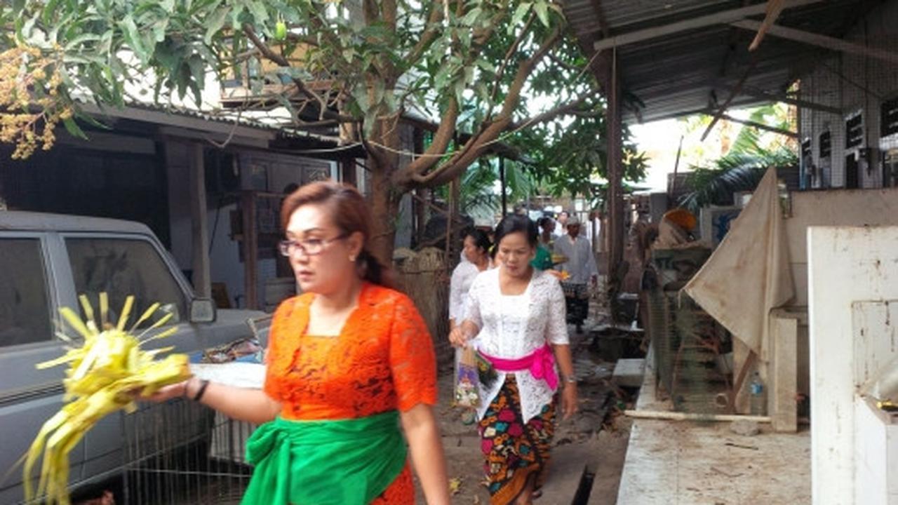 Kematian Angeline, warga Desa Adat Kesiman gelar upacara pembersihan