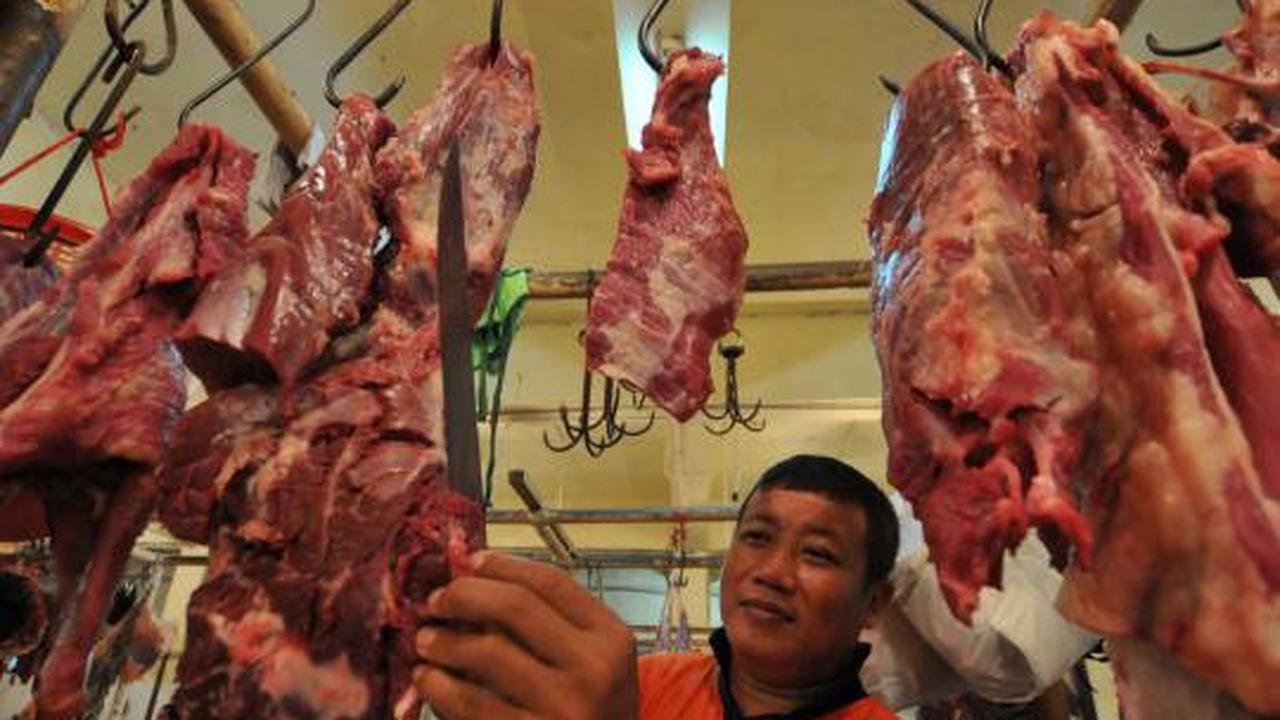 Harga daging sapi masih normal 