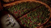 Terinspirasi dari keadaan alam selama pandemi, 2.292 tanaman dihiasi di setiap kursi penonton dalam konser virtual yang digelar oleh gedung opera Gran Teatre del Liceu di Barcelona, Spanyol pada Senin (22/6/2020) (Photo Credit: AP Photo/Emilio Morenatti)