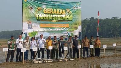 Gerakan Tanam Serempak Lebak: Pemkab dan Kementan Perkuat Swasembada Pangan Nasional