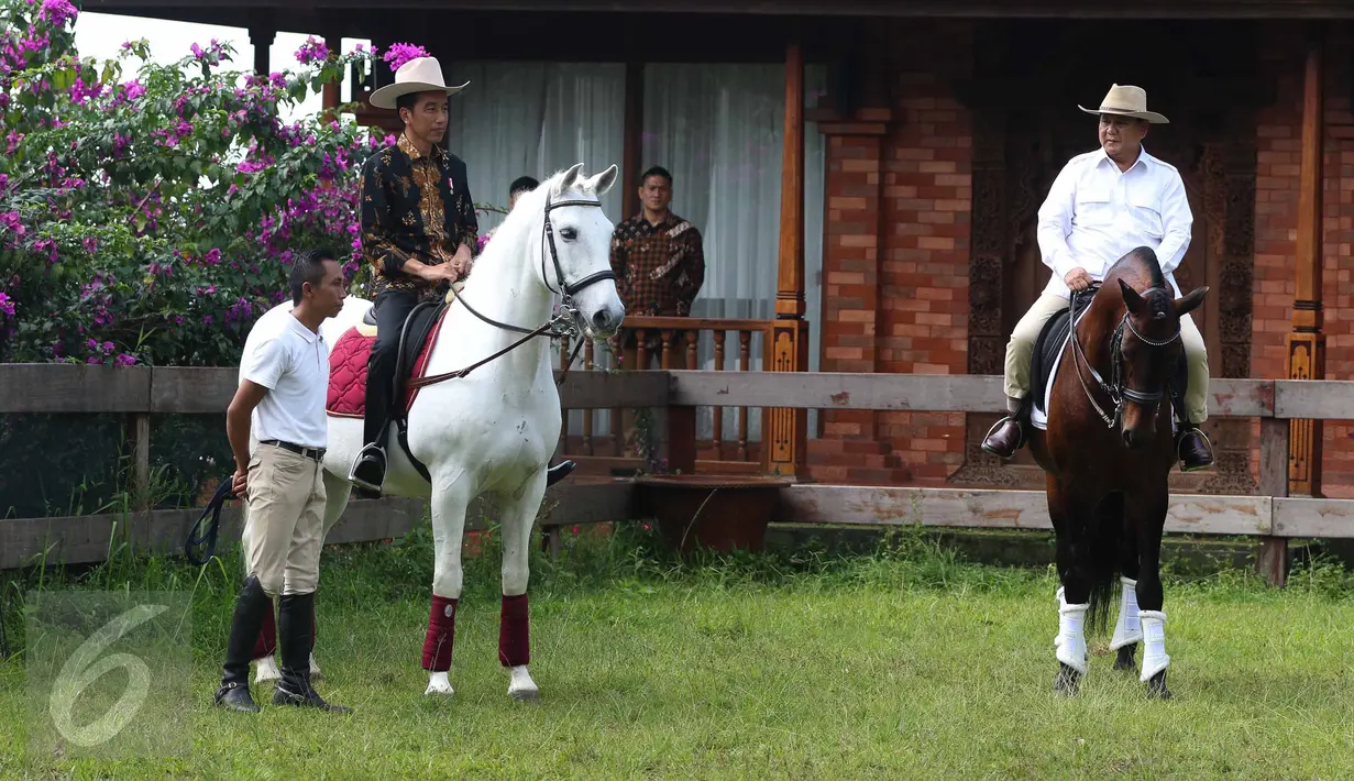 Ketua Umum Partai Gerindra Prabowo Subianto mengajak Presiden Joko Widodo (Jokowi) untuk naik kuda di kediamannya di Hambalang, Bogor, Senin (31/10). Jokowi dan Prabowo usai melakukan pertemuan tertutup selama hampir 2 jam. (Liputan6.com/Faizal Fanani)