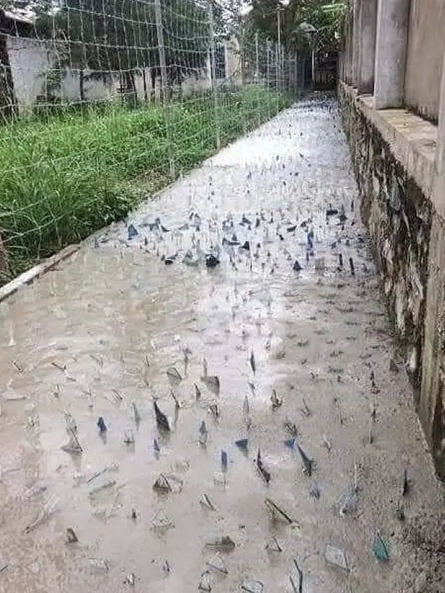 8 Potret Hasil Perbaikan Jalan Ini Hasilnya Absurd Banget
