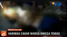 Hingga saat ini petugas BKSDA masih terus berupaya untuk menangkap satwa dilindungi ini yang diperkirakan masih berkeliaran disekitar lokasi kejadian.
