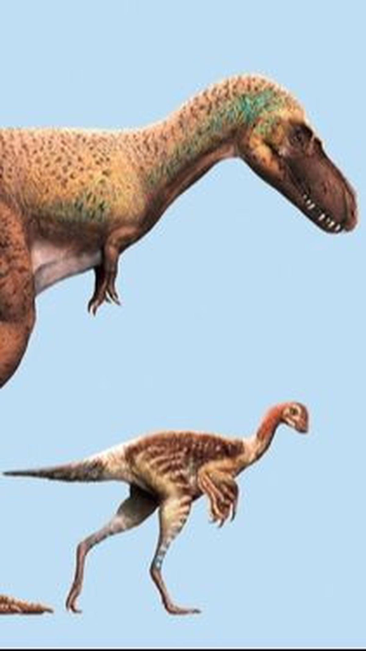 Berasal dari Jenis T-Rex