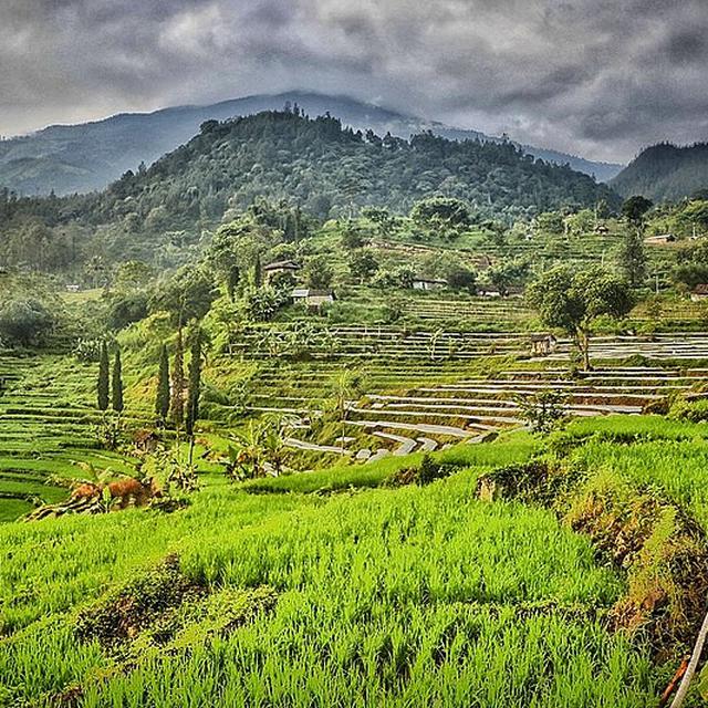 6 Wisata Pacet Mojokerto Yang Seru Cocok Untuk Dikunjungi