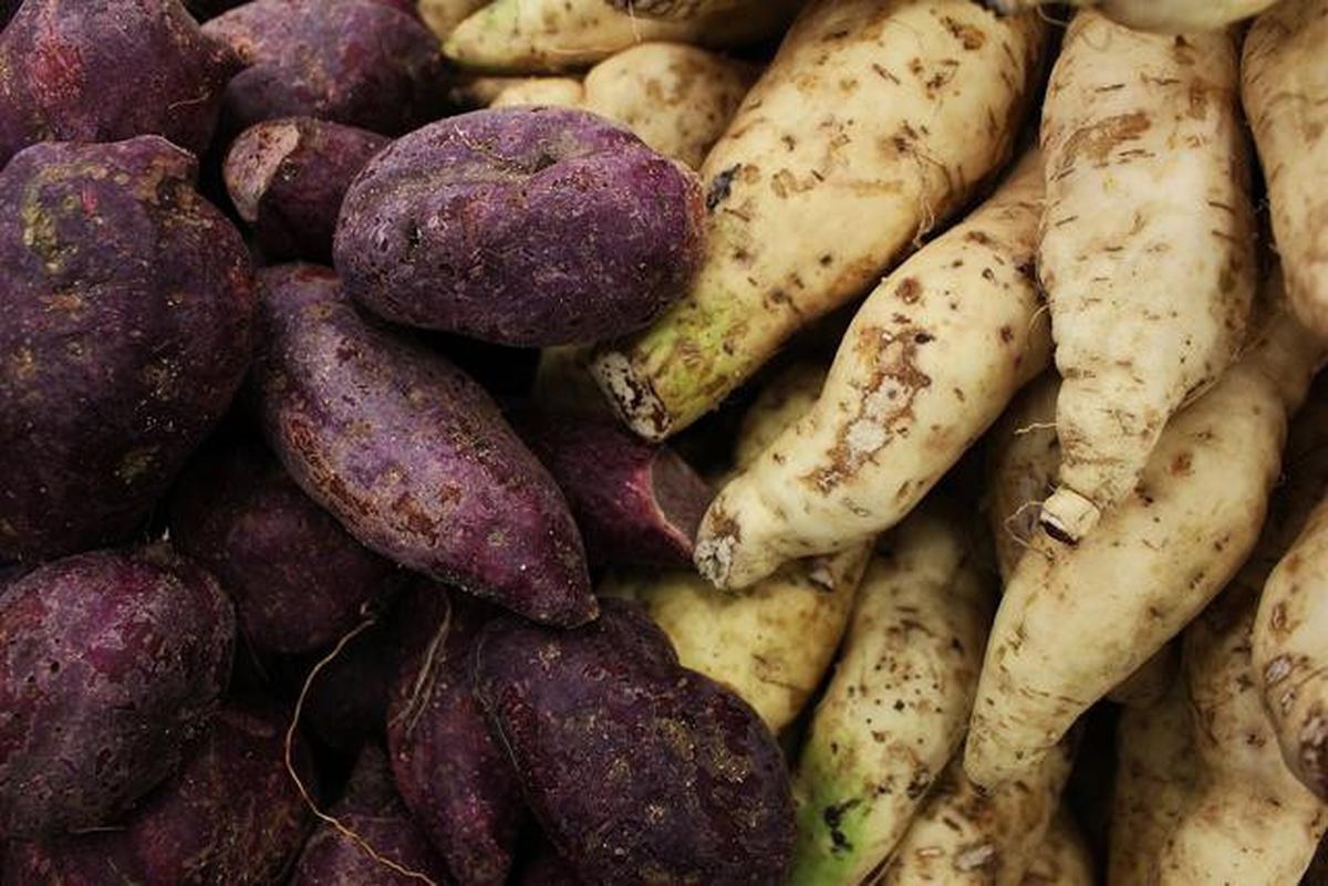 Manfaat Ubi Jalar untuk Sarapan, Cocok untuk Diet Optimal