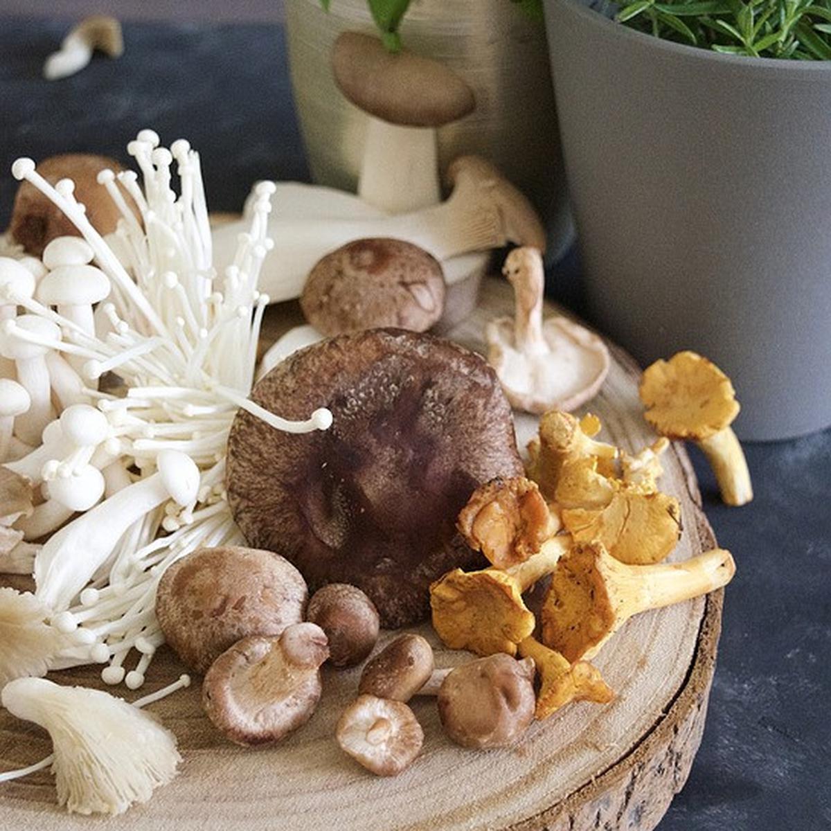 Penuh Nutrisi Hingga Industri Miliaran Dolar, 11 Fakta Menarik Tentang Jamur  - Global Liputan6.Com