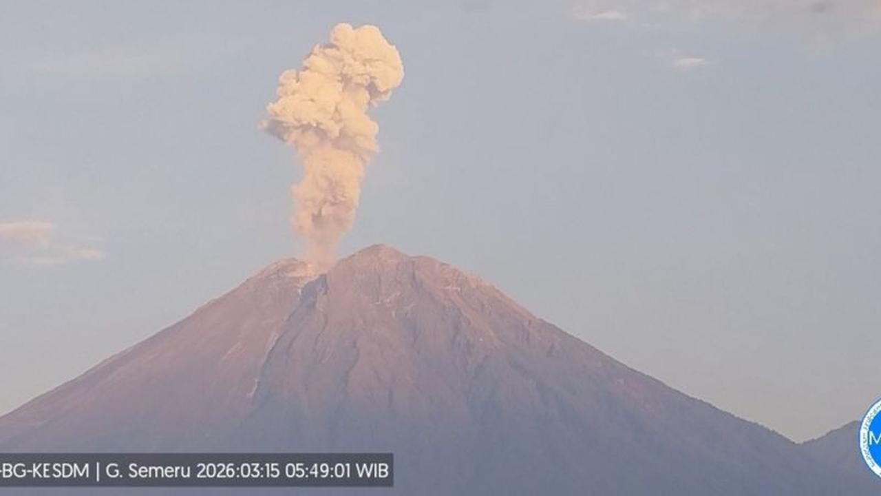 Gunung Semeru Erupsi 11 Kali Pagi Ini, Kolom Letusan Capai 1.200 Meter