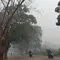 Kabut Asap Kebakaran Hutan Ancam Kesehatan Anak, Kenali Tanda yang Perlu Diwaspadai