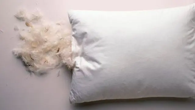 Bantal Bulu.