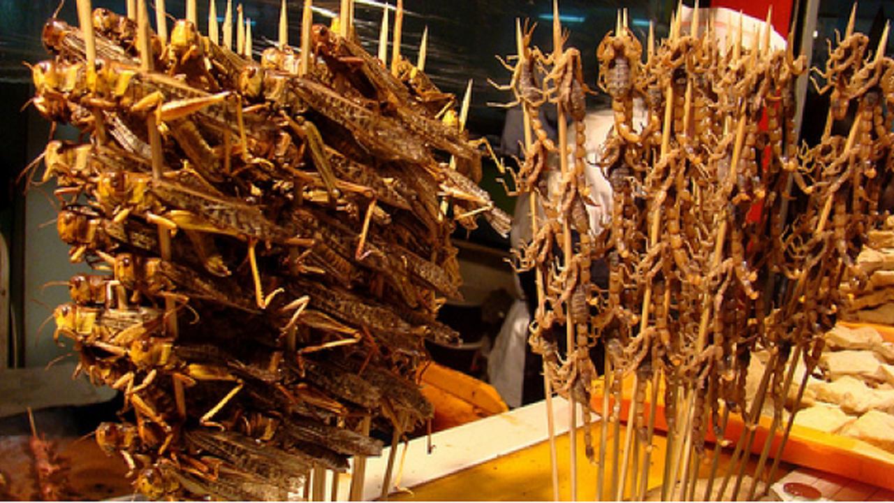 Serangga Sebagai Cemilan Makin Populer