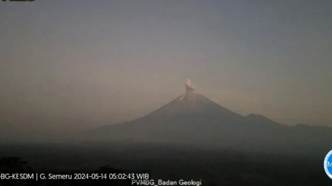 Gunung Semeru erupsi dengan ketinggain abu vulkanik 600 meter di atas permukaan laut (istimewa)