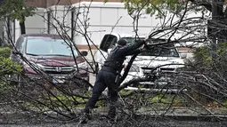 Polisi menyingkirkan pohon tumbang yang menghalangi Boyd Road di Pleasant Hill, California, Minggu (24/10/2021). Badai kuat menerjang California Utara yang sempat mengalami kebakaran hutan, memicu tanah longsor dan banjir, juga membawa angin kencang. (Jose Carlos Fajardo/Bay Area News Group via AP)