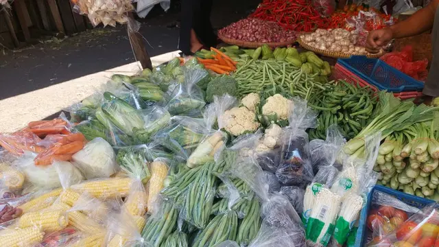 Sayuran