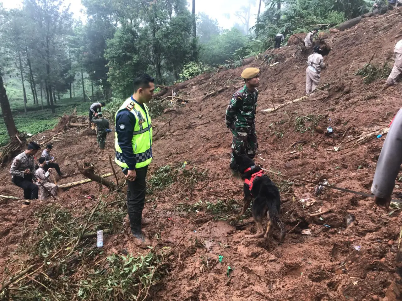 Petugas SAR gabungan masih berupaya mencari korban yang tertimbun longsor di Puncak, Kabupatem Bogor (Liputan6.com/dok. Polres Bogor)