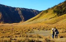 Memanjakan mata menikmati keindahan bukit 'Teletubbies' di Bromo
