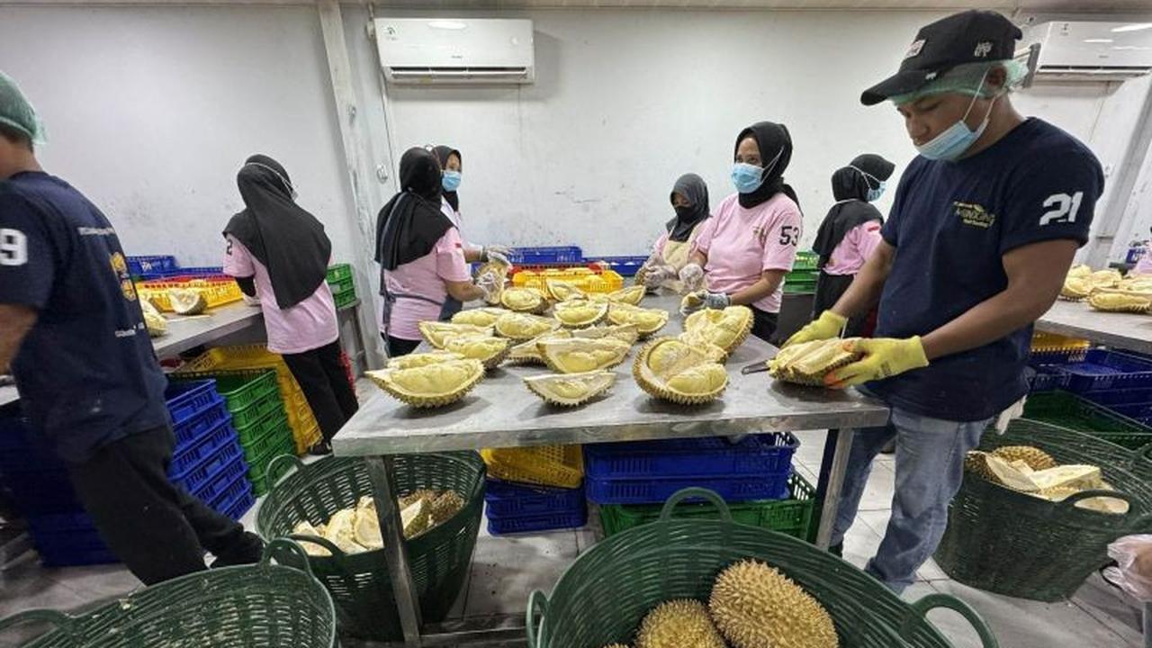 Kadin Parimo Targetkan Transformasi Ekonomi Industri Durian Sulawesi Tengah
