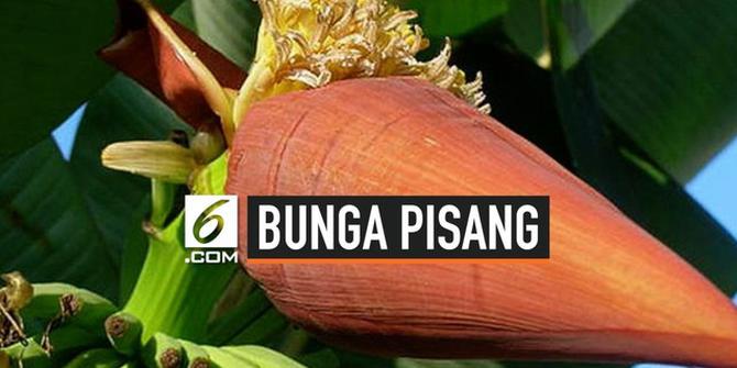 VIDEO: 5 Manfaat Luar Biasa Bunga Pisang Bagi Kesehatan