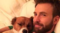 Chris Evans dan anjing peliharaan. (Instagram.com/chrisevans)
