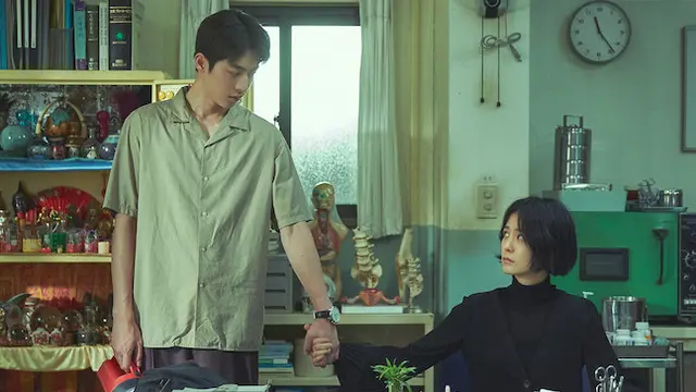 The School Nurse Files