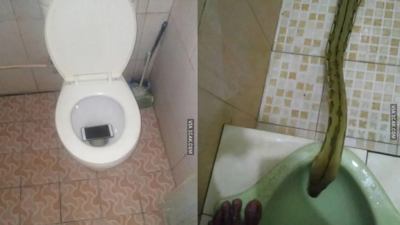 6 Momen Apes saat di Kamar Mandi Ini Bikin Ngelus Dada