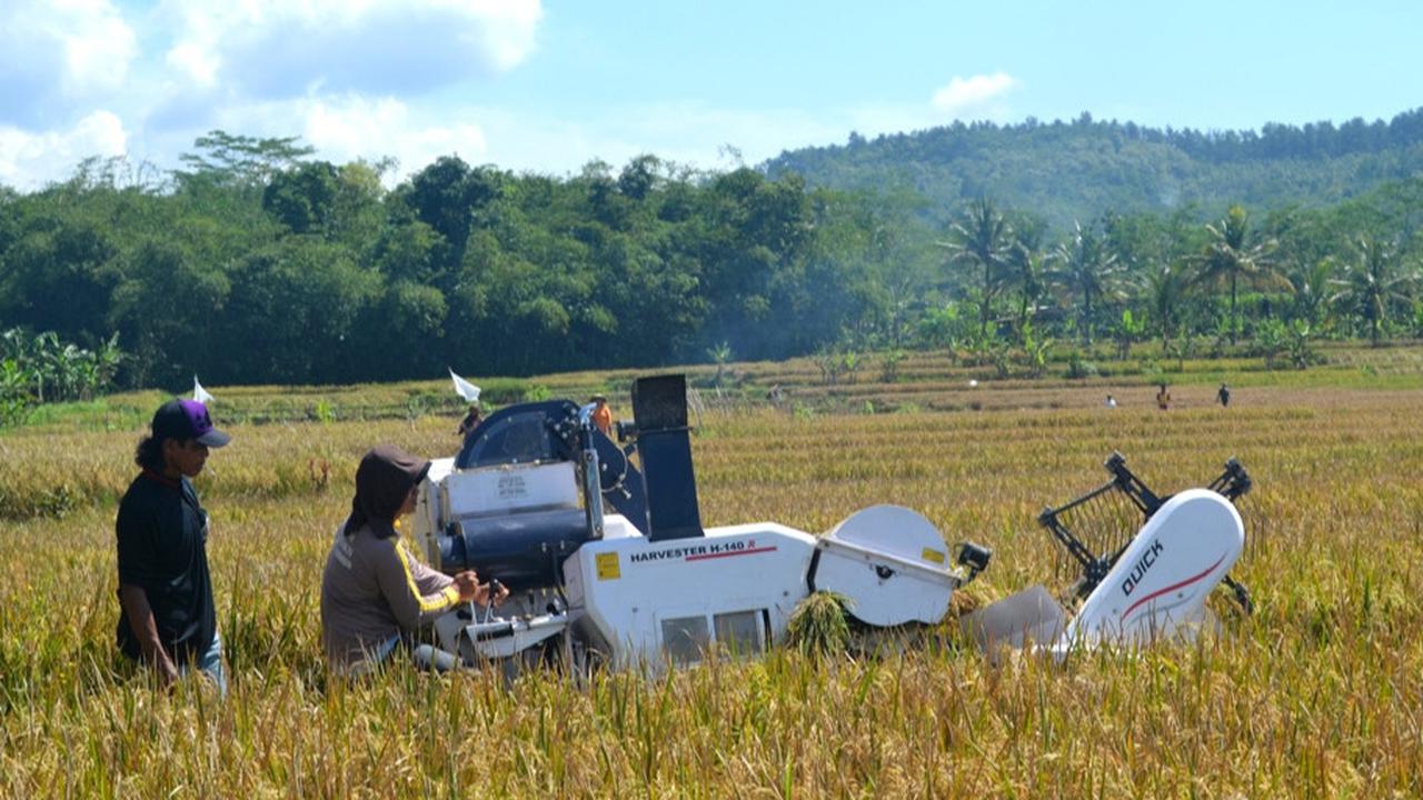 Upaya Bapanas Jaga Stabilitas Harga dan Cadangan Pangan di Tengah Cuaca Ekstrem