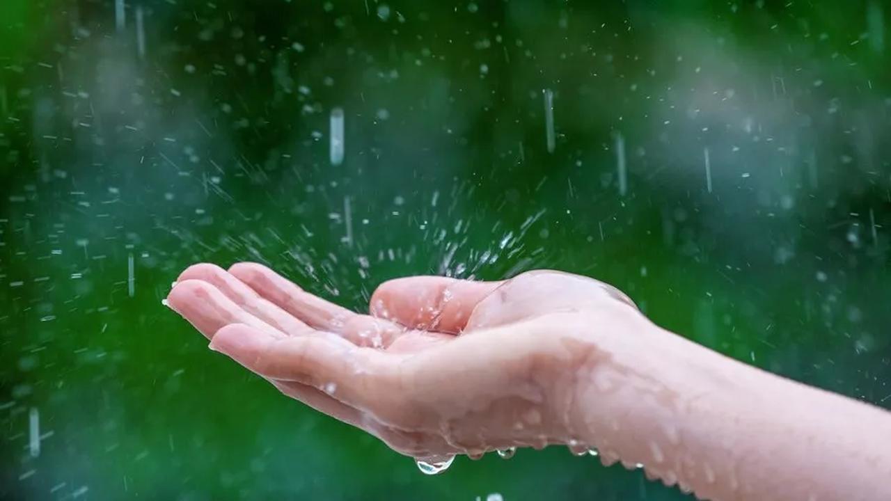 Musim hujan membuat kita rentan terkena penyakit karena banyak mikroba berkembang biak. Penyakit di musim ini biasanya menyebar melalui nyamuk, air, udara, dan makanan yang terkontaminasi.<br>