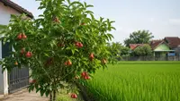 7 Pohon Buah yang Tidak Mengganggu Pertumbuhan Padi di Sawah, Panen Ganda dalam Satu Area