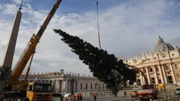 Sebuah crane mengangkat pohon cemara di Lapangan Santo Petrus, Vatikan, Kamis (21/11/2019). Pohon Natal setinggi 26 meter tersebut berasal dari Dataran Tinggi Asiago di timur laut Italia dan disumbangkan oleh wilayah Veneto. (AP Photo/Alessandra Tarantino)