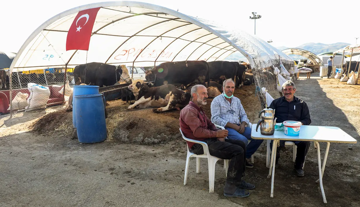 Para pria menunggu pembeli hewan kurban di pasar darurat yang didirikan oleh Kotamadya Yenimahalle menjelang hari raya Idul Adha di lingkungan Yakacik, Ankara, Turki, Senin (12/7/2021). Hari suci umat Muslim, Idul Adha dilaksanakan dengan menyembelih hewan kurban. (Adem ALTAN / AFP)