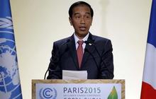 Di COP 21, Jokowi berkomitmen kelola hutan secara berkesinambungan