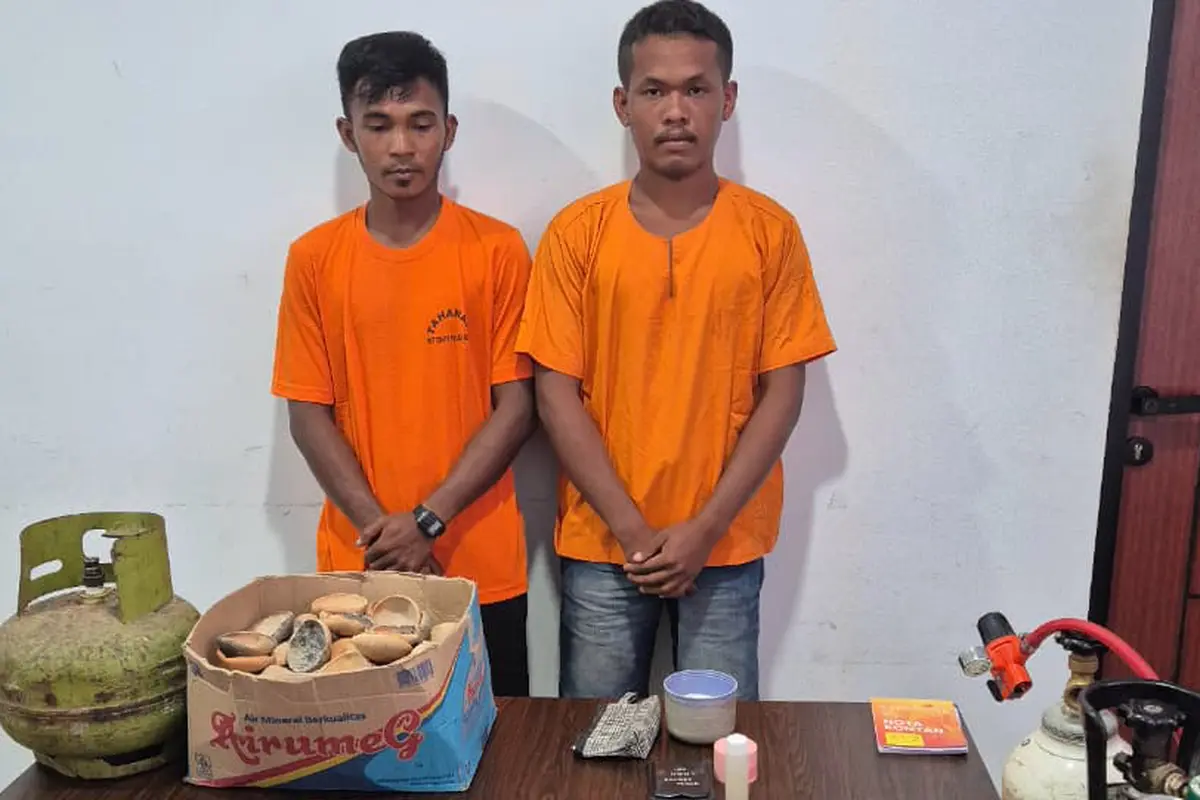 Dua pelaku ditangkap saat sedang melakukan transaksi penjualan logam mineral diduga emas di lokasi pemurnian di Dusun II Kelapa Gading (Istimewa)
