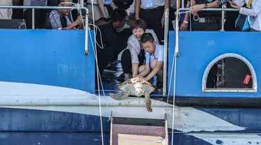 Para sukarelawan melepaskan penyu ke laut di Wilayah Lingshui, Provinsi Hainan, China selatan, pada 9 Agustus 2020. Sebanyak 99 ekor penyu, baik yang terdampar maupun hasil sitaan oleh penegak hukum, dilepaskan kembali ke laut pada Minggu (9/8). (Xinhua/Zhang Liyun)