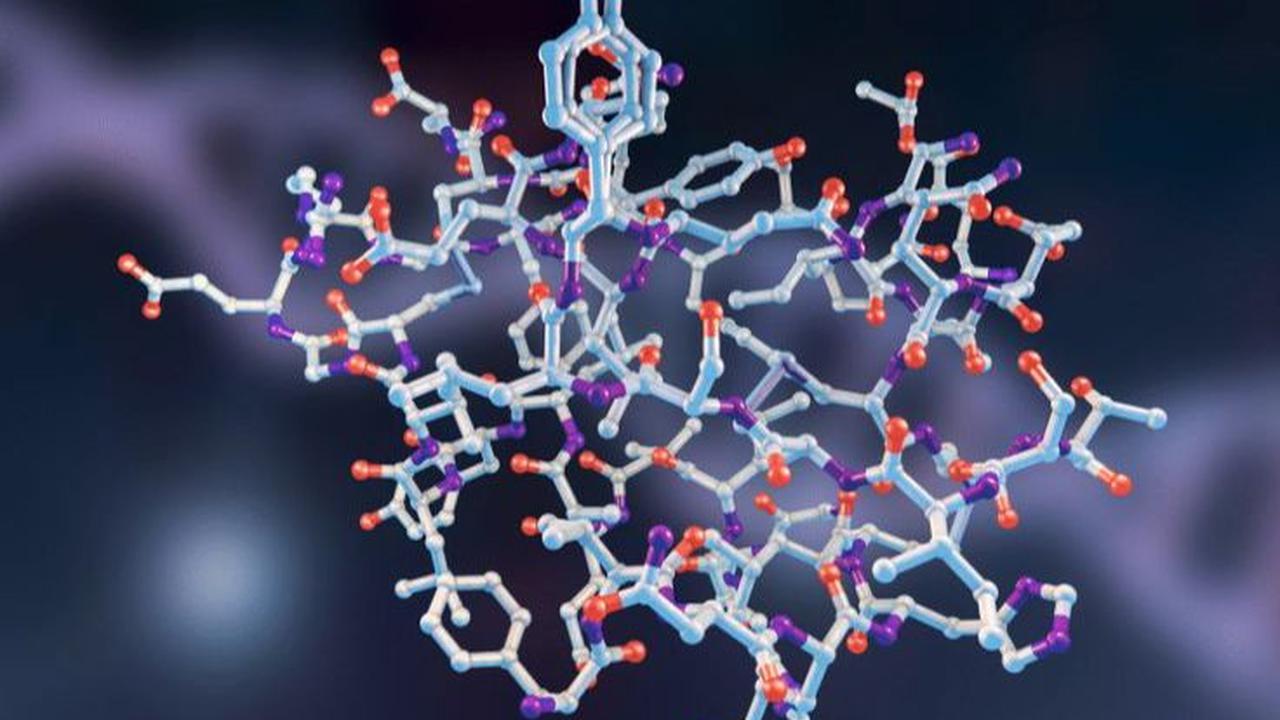 <b>Memperkuat Sensitivitas Insulin</b>